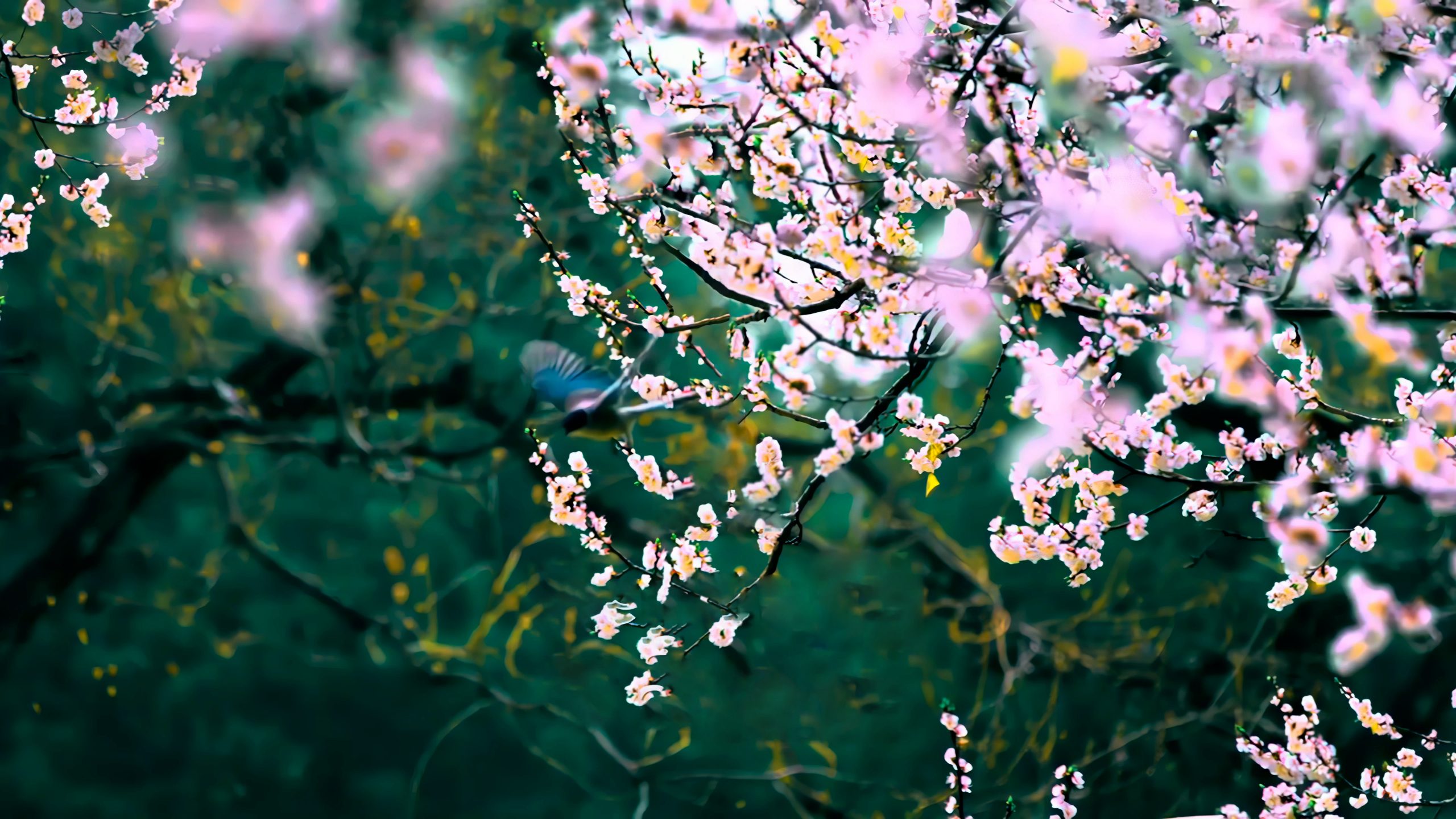 立春